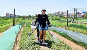 Tra Que Tourists and Farmers